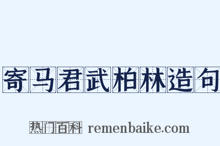 寄马君武柏林造句是什么意思的图片